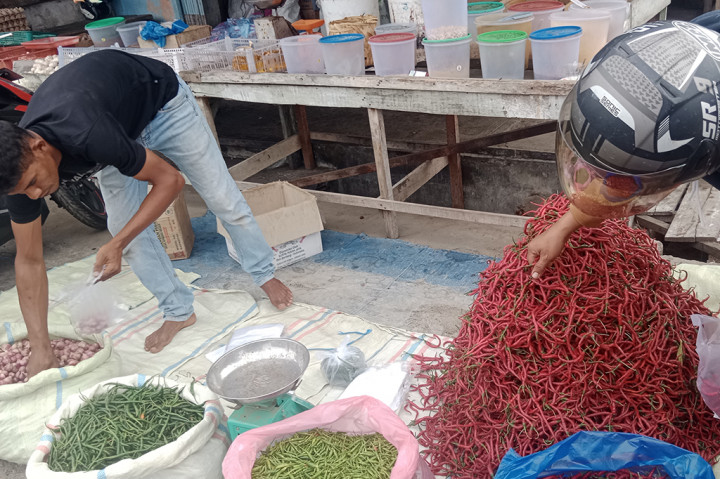 Amatan Media Indonesia, Minggu, 30 Juni 2024 di pasar sayur Pante Tengah Kota Sigli, Ibukota kabupaten Pidie misalnya, harga cabai merah kwalitas super Rp40.000 per kg. Harga itu lebih murah dari menjelang dan saat hari raya Idul Adha 1445 H, pekan lalu Rp60.000 per kg.