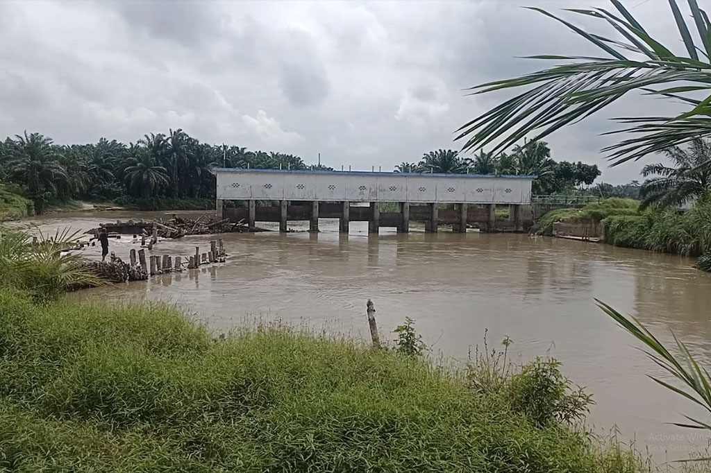 Bendung Irigasi Cinta Maju di Batubara, Sumatera Utara, rusak dan tak kunjung diperbaiki. Akibatnya ribuan hektar sawah terbengkalai karena tidak bisa ditanami padi.