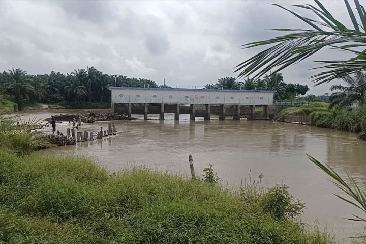 Bendung Irigasi Cinta Maju di Batubara, Sumatera Utara, rusak dan tak kunjung diperbaiki. Akibatnya ribuan hektar sawah terbengkalai karena tidak bisa ditanami padi.