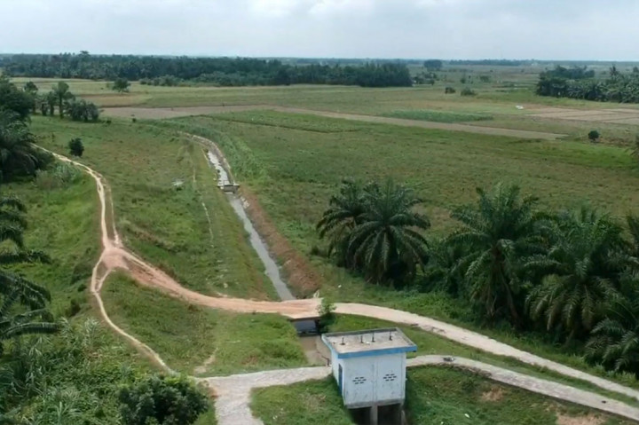 Jika berfungsi normal, Bendung Irigasi Cinta Maju sendiri dapat mengairi sekitar 1.540 hektar sawah yang tersebar di empat desa yaitu Desa Kampung Kelapa, Pematang Panjang, Sukaramai dan Desa Limau Sundai.