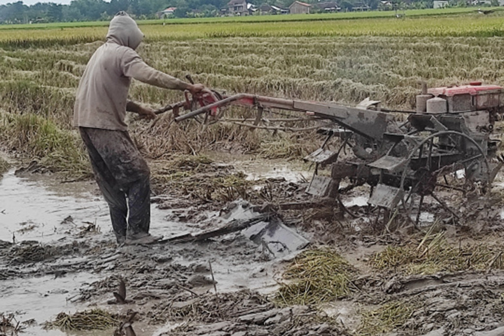 Kuota pupuk bersubsidi di Kabupaten Wonogiri bertambah signifikan pada pertengahan tahun ini. Namun dikhawatirkan, akan banyak tidak terserap petani, seiring banyaknya lahan, terutama di wilayah selatan yang tidak akan ditanami padi pada musim kemarau ini, karena persoalan kecukupan air irigasi.