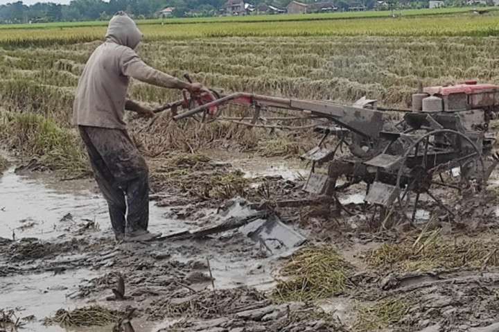 Kuota pupuk bersubsidi di Kabupaten Wonogiri bertambah signifikan pada pertengahan tahun ini. Namun dikhawatirkan, akan banyak tidak terserap petani, seiring banyaknya lahan, terutama di wilayah selatan yang tidak akan ditanami padi pada musim kemarau ini, karena persoalan kecukupan air irigasi.