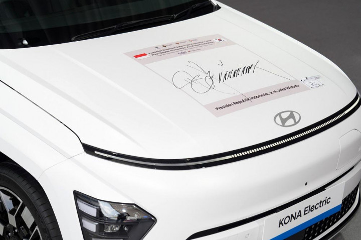 PT HLI Green Power merupakan perusahaan joint venture antara Hyundai Motor Company, LG Energy Solution, dan PT Indonesia Battery Corporation (IBC). Investasi PT HLI Green Power merupakan tindak lanjut dari penandatanganan Nota Kesepahaman (MoU) antara Kementerian Investasi/BKPM dan Konsorsium Hyundai, LG, dan IBC pada 28 Juli 2021.