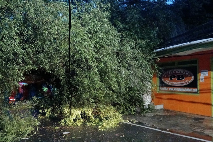 Imam salah satu pengelola warteg mengatakan dirinya kaget pohon besar yang menimpa wartegnya pada bagian dapur. Saat itu tengah banyak pembeli, dan saat itu tengah hujan deras disertai angin.
