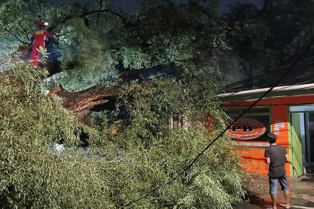 Hujan disertai angin kencang di Jakarta Pusat membuat 10 pohon tumbang. Akibat tumbangnya pohon mengakibatkan kerusakan infrastruktur publik hingga menimpa satu warteg di Jalan Kali Pasir, Kebon Sirih, Jakarta Pusat, Rabu 3 Juli 2024.