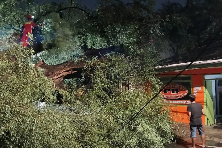 Hujan disertai angin kencang di Jakarta Pusat membuat 10 pohon tumbang. Akibat tumbangnya pohon mengakibatkan kerusakan infrastruktur publik hingga menimpa satu warteg di Jalan Kali Pasir, Kebon Sirih, Jakarta Pusat, Rabu 3 Juli 2024.