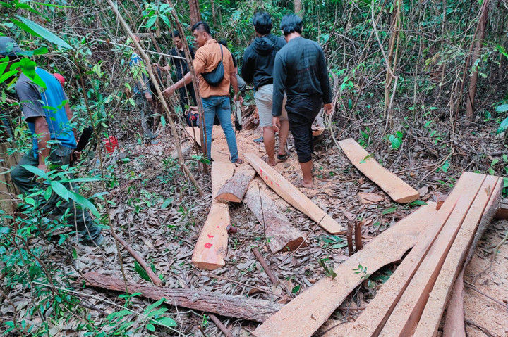 Kabid Humas Polda Bangka Belitung Kombes Jojo Sutarjo mengatakan kedua pelaku diamankan pada Rabu, 3 Juli 2024 sekitar pukul 17.00 WIB.