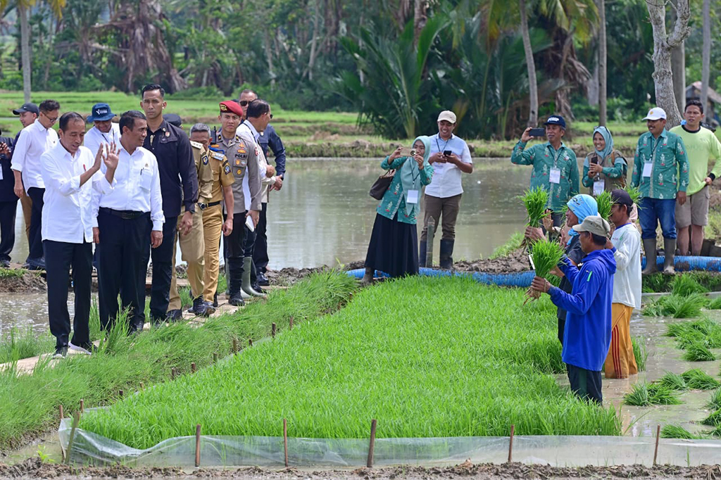 Saat berada di lokasi, Presiden Jokowi juga berkesempatan untuk berdialog langsung dengan para petani yang sedang bekerja di sawah. Salah satu petani, Isal, mengungkapkan kebutuhan mendesak akan air hujan untuk mengairi tanaman di sawahnya yang berada di dataran tinggi.