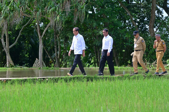 Presiden Joko Widodo didampingi Ibu Iriana Joko Widodo meninjau langsung pelaksanaan pemberian bantuan 300 unit pompa untuk pengairan sawah dan pertanian (pompanisasi) di Desa Jaling, Kabupaten Bone, Provinsi Sulawesi Selatan, pada Kamis, 4 Juli 2024.