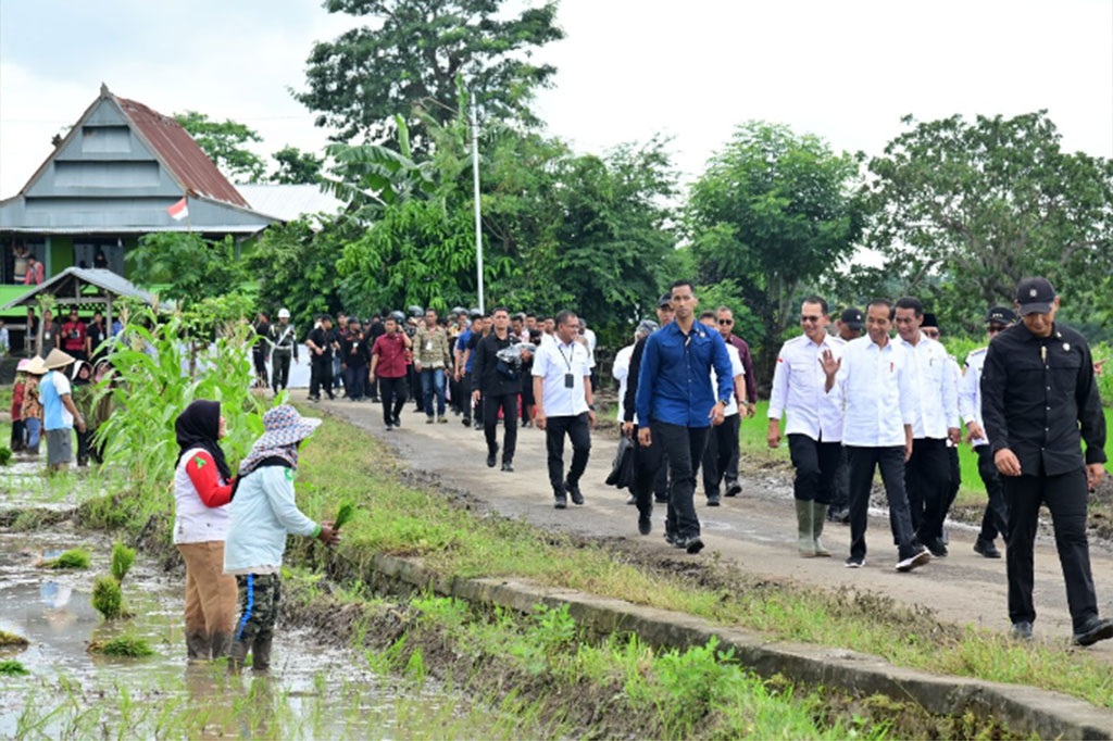 “Pompanisasi ini akan meningkatkan produktivitas. Petani tadi menyampaikan di sini hanya panen sekali padahal tanahnya subur karena airnya enggak ada, sehingga dengan pompa ini sudah nanam yang kedua. Nah kita harapkan nanti bisa masuk penanaman yang ketiga,” ungkap Presiden.
