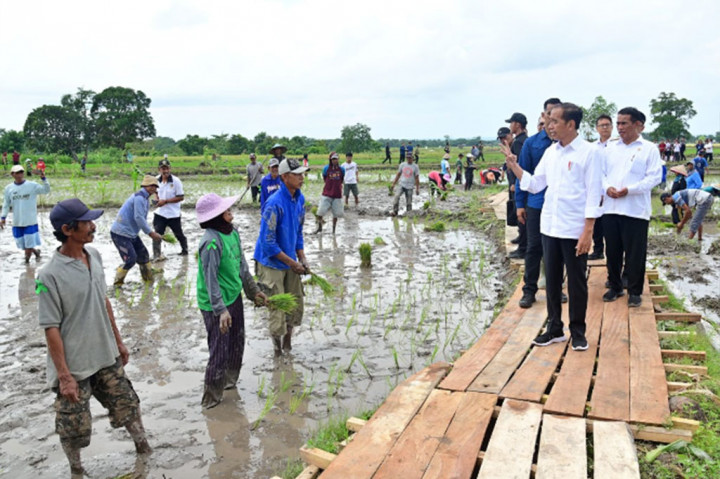 Presiden juga menjelaskan bahwa pompanisasi ini juga sebagai upaya antisipasi pemerintah terhadap kemungkinan kekeringan yang panjang di masa mendatang. “Artinya dari 1 paling tidak minimal kedua, kalau bisa ketiga ini akan meningkatkan produktivitas beras kita secara nasional,” ucap Presiden.