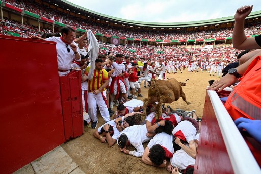 Selama festival yang berlangsung kurang dari tiga menit, para peserta berusaha sedekat mungkin dengan hewan-hewan tersebut dalam lari cepat menuju arena adu banteng Pamplona, ??tempat adu banteng diadakan di sore hari.