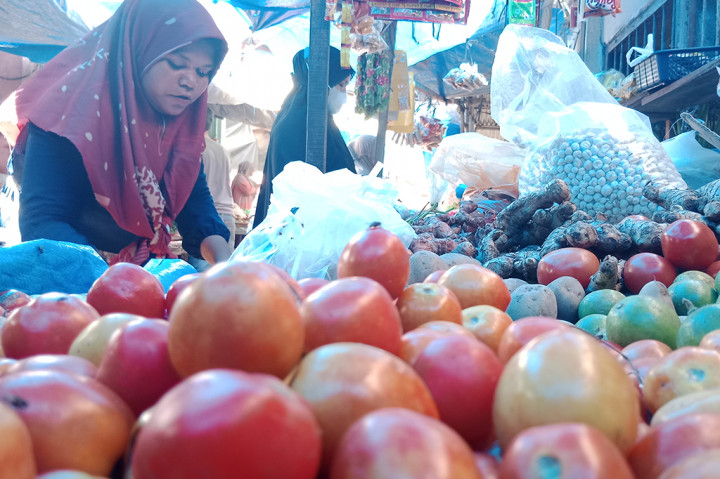Semakin bersahabat harga bawang lokal itu tidak lepas dari semakin luas lahan panen petani bawang setempat. Apalagi sebagian hasil produksi bahan bumbu masakan itu dipasok untuk kebutuhan pasar lokal.