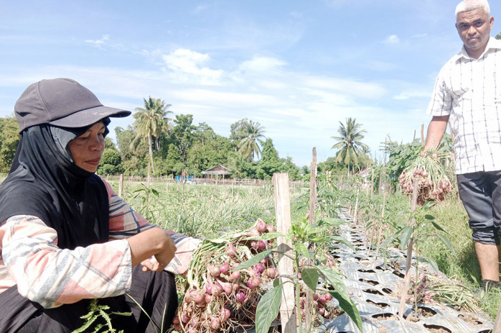 EL Nino merupakan fenomena alam mustahil sanggup dihadang dan tidak dapat dihindari oleh manusia dimanapun di muka bumi. Apalagi itu fenomena cuaca akibat peningkatan suhu permukaan air di Samudra Pasifik Tengah dan Timur yang menjadi lebih hangat dari biasanya.