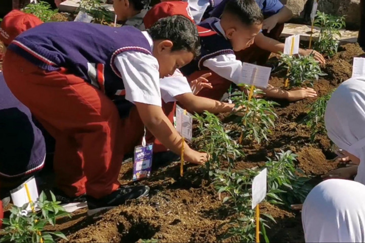 Kegiatan menanam oleh siswa baru itu dilakukan di SD Al Falah Assalam Tropodo Kecamatan Waru Kabupaten Sidoarjo. Sebanyak 90 siswa baru itu tidak langsung masuk kelas, melainkan diajak menanam berbagai tanaman di halaman sekolah.
