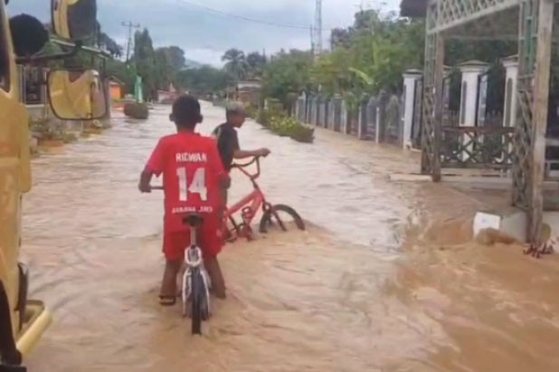 Kelima Kecamatan yang terendam banjir, yakni Kecamatan Larompong Selatan, Larompong, Suli, Suli Barat, serta Kecamatan Belopa.