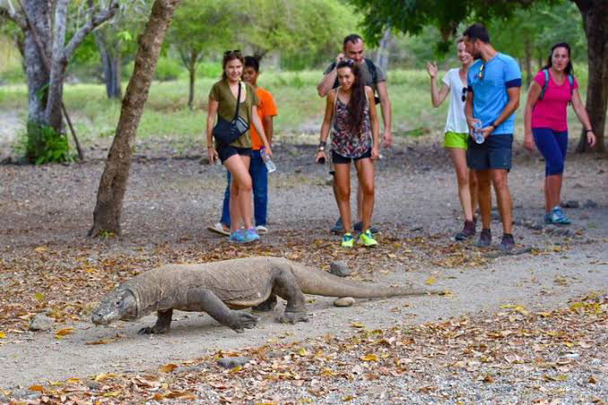 Penutupan aktivitas wisata di TN Komodo menurut BTNK bertujuan untuk pemulihan destinasi atas aktivitas wisata yang intens selama ini.  Kebijakan itu juga untuk menjaga keberlanjutan kawasan konservasi TN Komodo dengan mengelola tingkat kunjungan wisatawan.