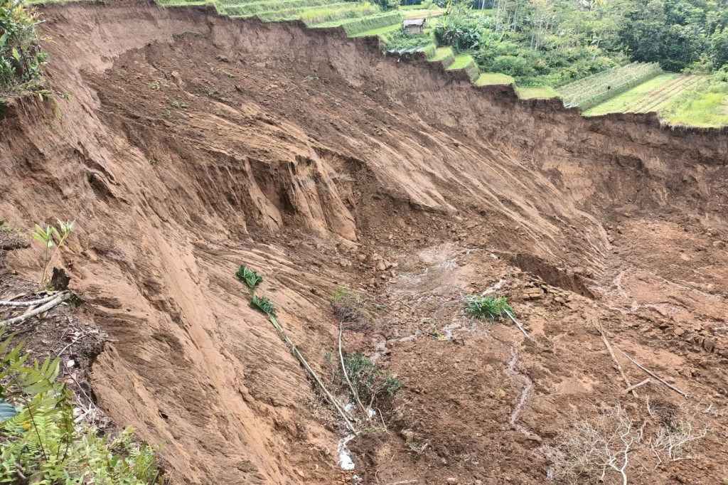 Kepala Pelaksana Badan Penanggulangan Bencana (BPBD) Kabupaten Tasikmalaya, Nuraedidin mengatakan, pergerakan tanah di wilayahnya telah menyebabkan 8 unit rumah telah dikosongkan pemiliknya dan 56 Kepala Keluarga terancam. Akan tetapi, sekarang ini tim ahli dari Pusat Vulkanologi dan Mitigasi, Bencana, Geologi (PVMBG) masih melakukan pemeriksaan di lokasi kejadian.