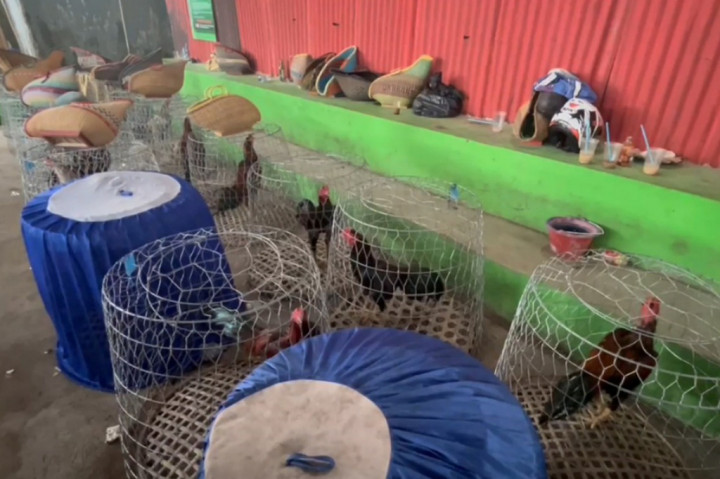 Untuk menghindari petugas, para pemain menjebol pagar hingga melompat ke persawahan.