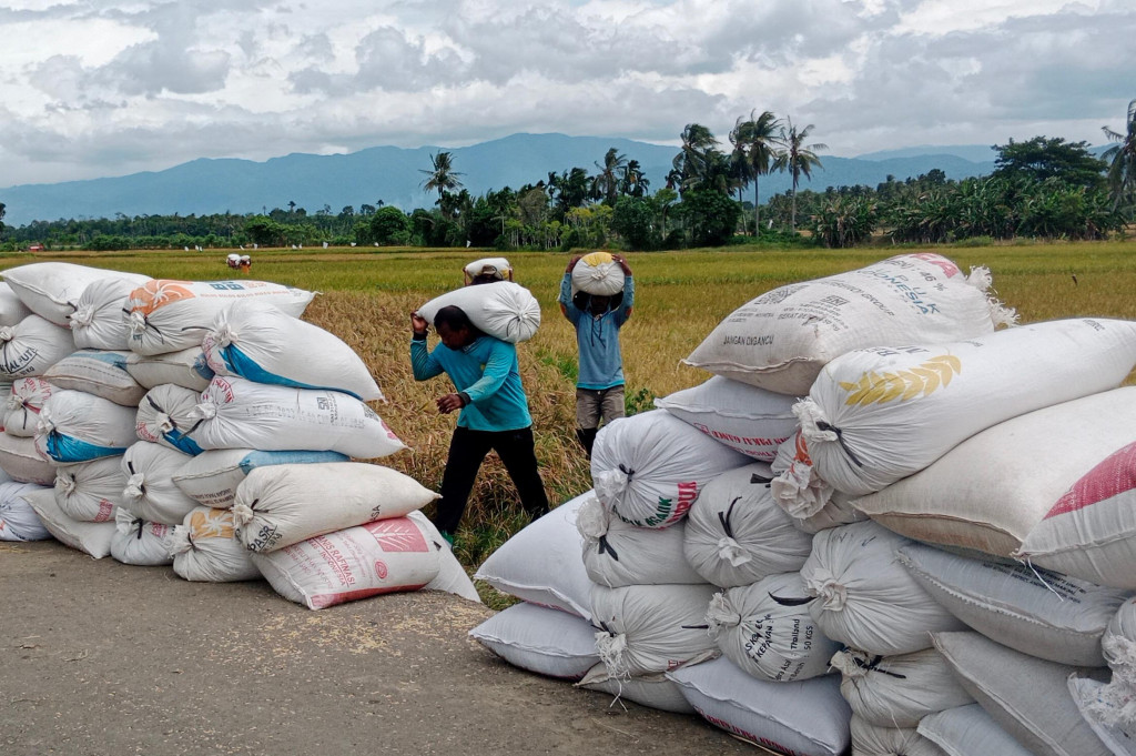 Fenomena alam El Nino telah berpengaruh besar terhadap produksi hasil pertanian di tanah air. Cuaca panas akibat peningkatan suhu permukaan air di Samudra Pasifik Tengah dan Timur juga dikhawatirkan menjadi ancaman krisis pangan nasional.