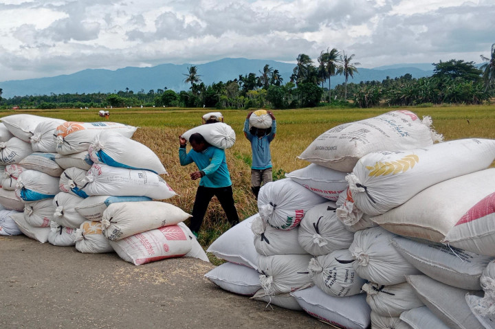 Fenomena alam El Nino telah berpengaruh besar terhadap produksi hasil pertanian di tanah air. Cuaca panas akibat peningkatan suhu permukaan air di Samudra Pasifik Tengah dan Timur juga dikhawatirkan menjadi ancaman krisis pangan nasional.