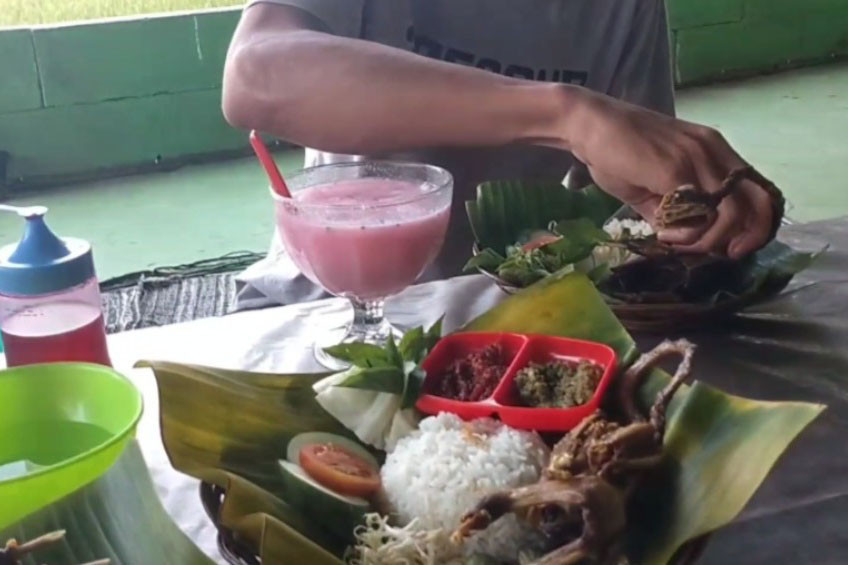 Hampir mirip dengan bebek goreng, namun ukurannya lebih kecil. Menyantap burung blekok goreng ini, dipastikan hanya bisa setahun sekali saat populasinya banyak, seperti di bulan Agustus ini. Salah satu penikmat burung blekok goreng, Negus Feriatama, mengaku, beruntung bisa menikmati burung blekok goreng ini karena belum tentu, setahun sekali menyantapnya.