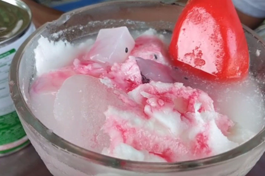 Desa Ngagel juga dikenal sebagai sentra penghasil kelapa kopyor di Pati. Cuaca panas, sangat cocok jika diredakan dengan es kelapa kopyor original, ataupun ditambah dengan sirup. Kedai yang berdekatan dengan sawah, semakin menambah nikmat menyantap burung blekok goreng, dengan pedasnya sambal atau ditambah sayuran cemeding. Tak berbeda dengan kuliner unggas lainnya, burung blekok goreng juga empuk dan crispy.