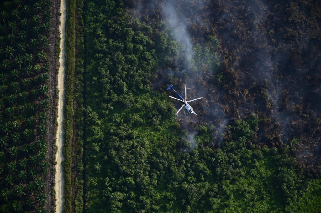 Ratusan titik panas atau hotspot indikator kebakaran hutan dan lahan (Karhutla), Selasa, 6 Agustus 2024, terdeteksi masih membara di Sumatra. Dari total sebanyak 134 titik panas di Pulau Sumatra, jumlah terbanyak terpantau berada di Provinsi Bangka Belitung (Babel) dengan sebanyak 43 titik panas.