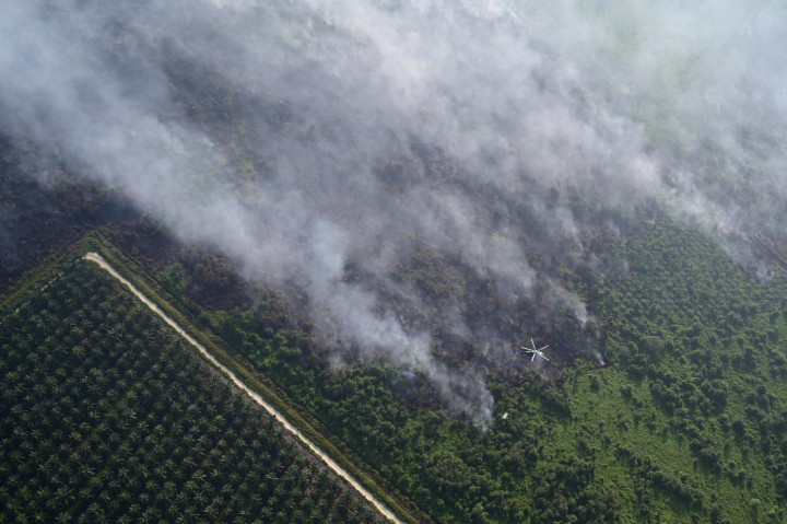 Forecaster on Duty Badan Meteorologi, Klimatologi, dan Geofisika (BMKG) Pekanbaru Bella Rizki Adelia mengatakan selain Babel 43 titik, Sumatra Selatan (Sumsel) juga menjadi penyumbang terbesar titik panas yaitu sebanyak 31 titik. Kemudian Riau sebanyak 28 titik, Jambi 12 titik, Lampung 8 titik, Sumatra Utara (Sumut) 5 titik.
