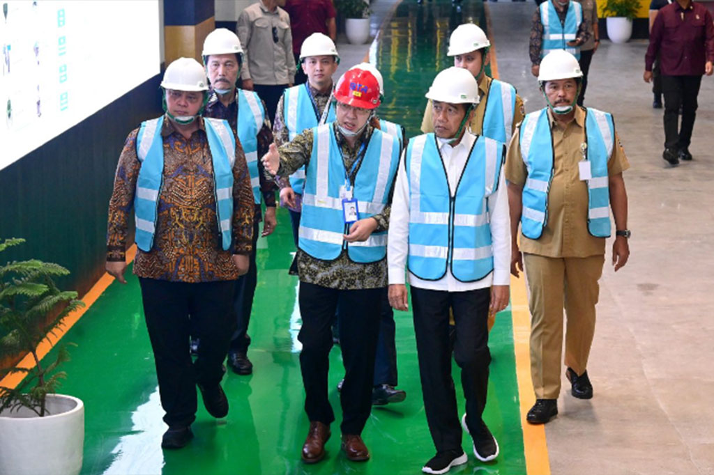 Presiden mengungkapkan bahwa untuk bahan anoda baterai tersebut memang sebagian masih diimpor berupa natural graphite. Sedangkan untuk artificial graphite diambil dari kilang Pertamina.