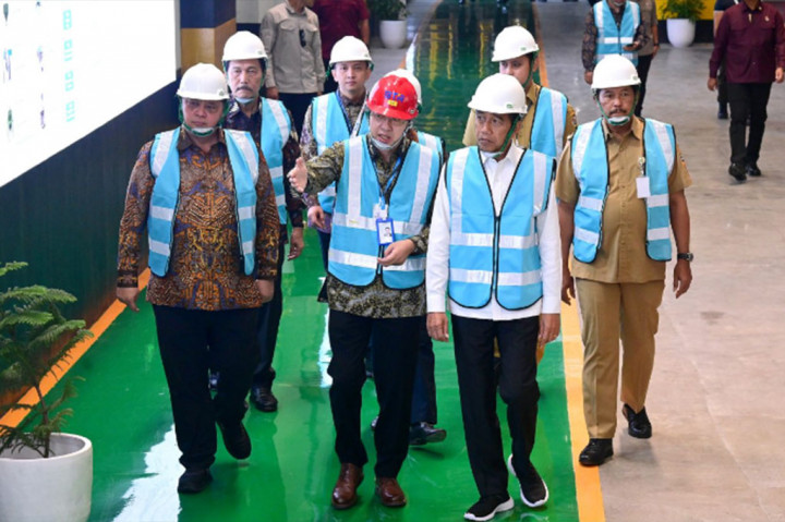 Presiden mengungkapkan bahwa untuk bahan anoda baterai tersebut memang sebagian masih diimpor berupa natural graphite. Sedangkan untuk artificial graphite diambil dari kilang Pertamina.