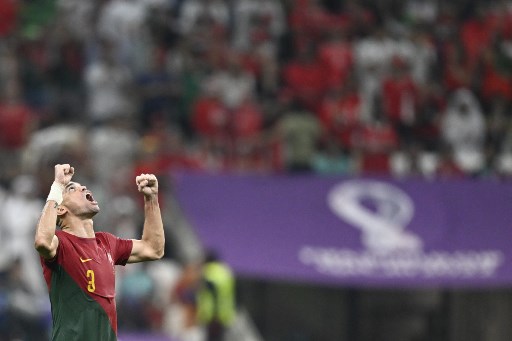 Dia mengawali karier bersama klub Portugal Maritimo pada 2002 sebelum pindah ke Porto pada 2004. Dia mulai dikenal saat membela Real Madrid dari 2007 sampai 2017. Bersama Los Blancos, Pepe tampil 334 kali dan membawa klub ini memenangkan tiga trofi La Liga dan tiga Liga Champions. 