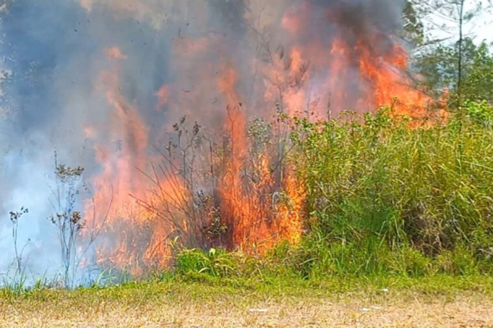 Kebakaran hutan dan lahan (Karhutla) terus terjadi di sejumlah Kabupaten di Provinsi Bangka Belitung (Babel).