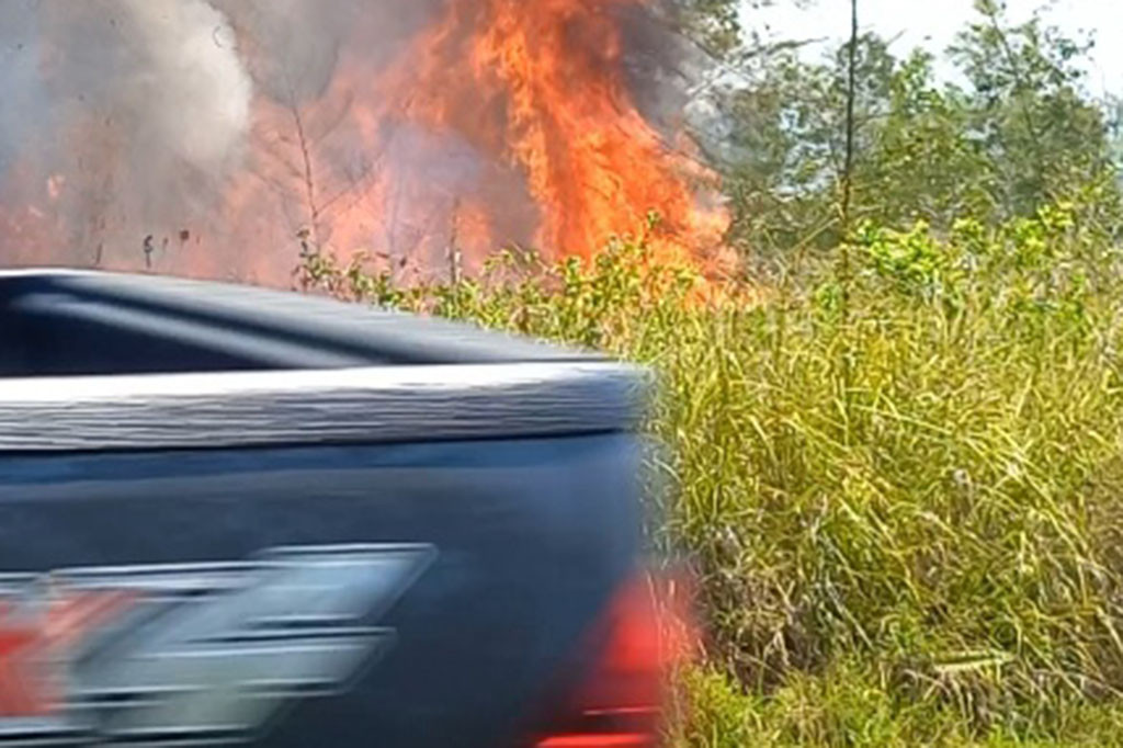 Seperti di Jalan Lintas Timur Kabupaten Bangka. Hampir setiap hari terjadi kebakaran lahan di lokasi tersebut.