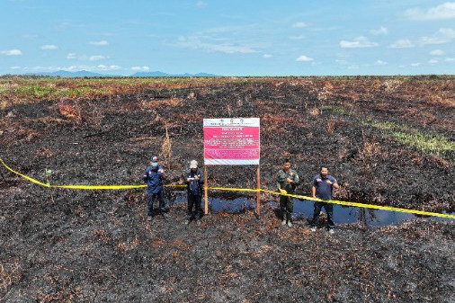 Ratusan titik panas atau hotspot indikator kebakaran hutan dan lahan (Karhutla) terus membara di Pulau Sumatra. Dari pantauan terakhir satelit, Kamis, 5 September 2024, terdeteksi sebanyak 445 titik panas dengan jumlah terbesar berada di Sumatra Selatan sebanyak 173 titik panas.