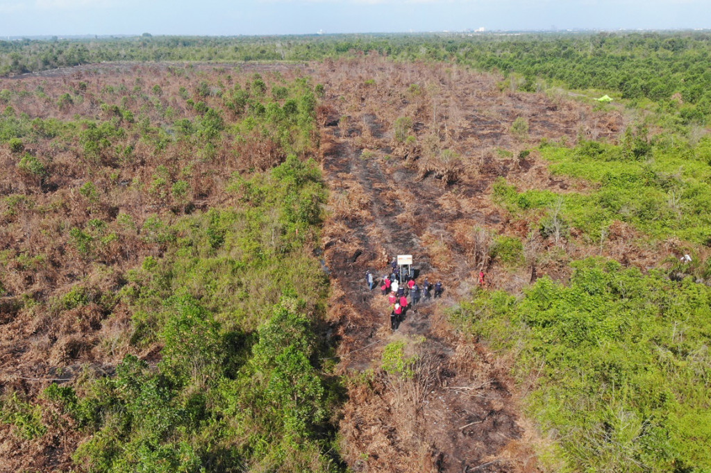 Selain Sumatra Selatan dengan 173 titik panas, jumlah terbanyak juga terdeteksi di Lampung sebanyak 143 titik, Bangka Belitung sebanyak 70 titik, Jambi sebanyak 31 titik, Aceh sebanyak 21 titik, Riau sebanyak empat titik, san Kepulauan Riau sebanyak tiga titik panas.