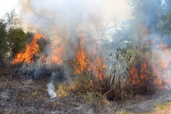 Kepala Badan Penanggulangan Bencana Daerah (BPBD) Provinsi Bangka Belitung (Babel). Mikron Antariksa mengatakan musim kemarau ini setiap hari selalu terjadi kebakaran lahan.