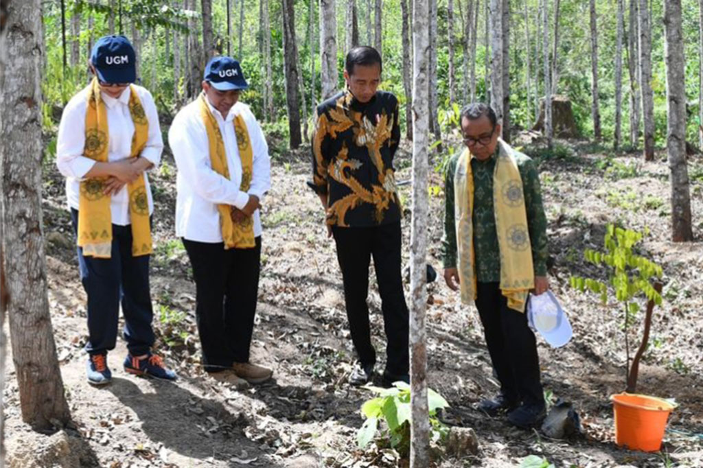 Dalam acara pencanangan tersebut Presiden antara lain melakukan penanaman pohon Tengkawang, menandatangani tugu pencanangan Wanagama Nusantara, hingga melakukan pelepasan burung.