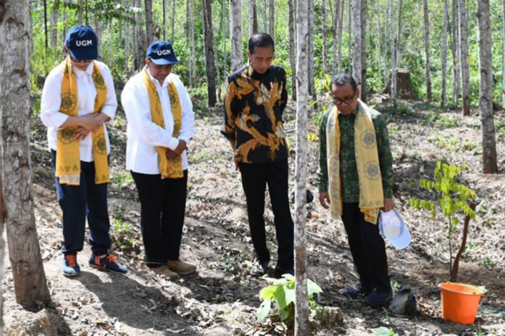 Dalam acara pencanangan tersebut Presiden antara lain melakukan penanaman pohon Tengkawang, menandatangani tugu pencanangan Wanagama Nusantara, hingga melakukan pelepasan burung.