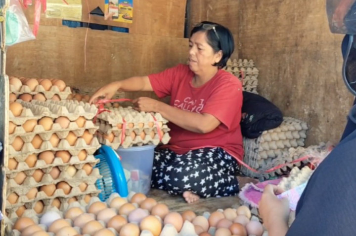 Namun harga telur kini tembus Rp50 ribu hingga Rp52 ribu per rak. Kenaikan harga ini dipicu tingginya permintaan jelang perayaan Maulid Nabi Muhammad 1.446 Hijriah pada 16 September 2024 mendatang. Banyaknya penggunaan telur saat perayaan maulid di daerah ini memicu tingginya permintaan.