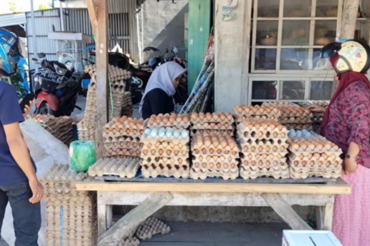 Harga telur ayam alami kenaikan jelang perayaan Maulid Nabi Muhammad 1.446 Hijriah di berbagai daerah. Seperti di Pasar Sentral Majene, Sulawesi Barat, harga telur terus alami lonjakan seiring tingginya permintaan yang tidak sebanding dengan pasokan.
