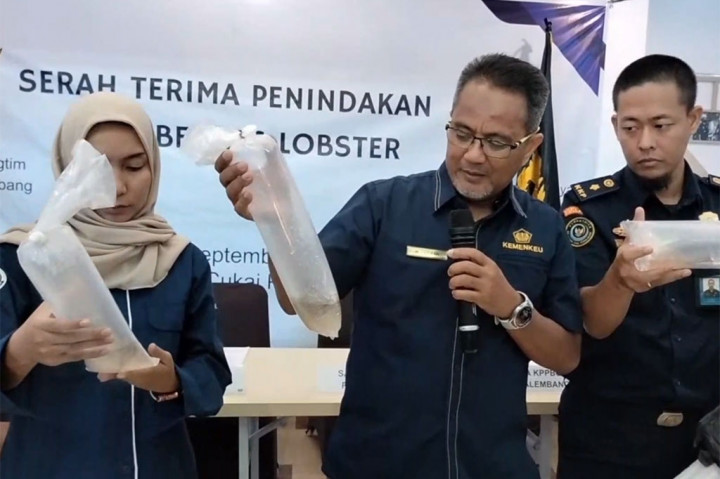 Penangkapan aktifitas penyelundupan benih lobster yang melibatkan tim gabungan Kanwil Bea Cukai Sumatera bagian timur dan Kantor Bea Cukai Palembang ini setelah adanya informasi dari masyarakat.