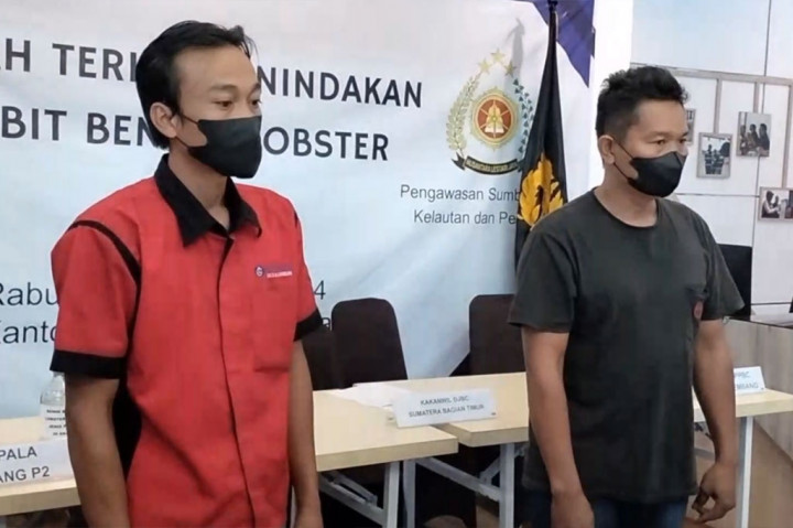 Petugas Bea Cukai mengamankan dua pelaku berinisial inisial AW, 29, dan U, 43, yang membawa benur lobster tersebut lantaran mereka tidak bisa menunjukkan dokumen pengangkutan resmi ke petugas.