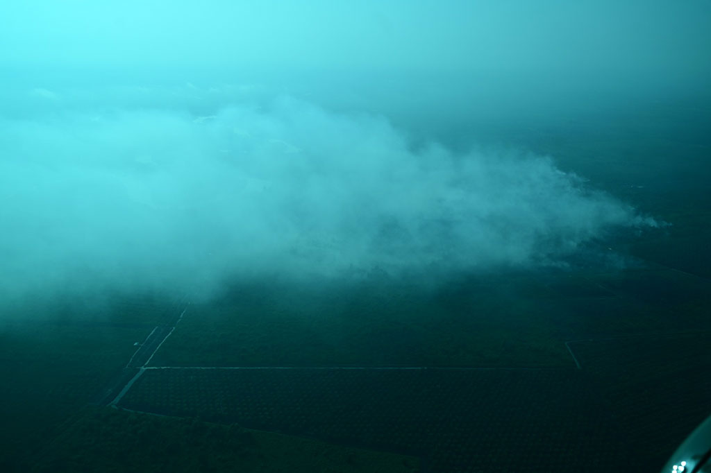 Ratusan titik panas atau hotspot indikator kebakaran hutan dan lahan (Karhutla) kembali membara di Pulau Sumatra. Dari pantauan terakhir satelit, Sabtu, 21 September 2024, terdeteksi sebanyak 713 titik panas dengan jumlah terbanyak berada di Sumatra Selatan sebanyak 291 titik.