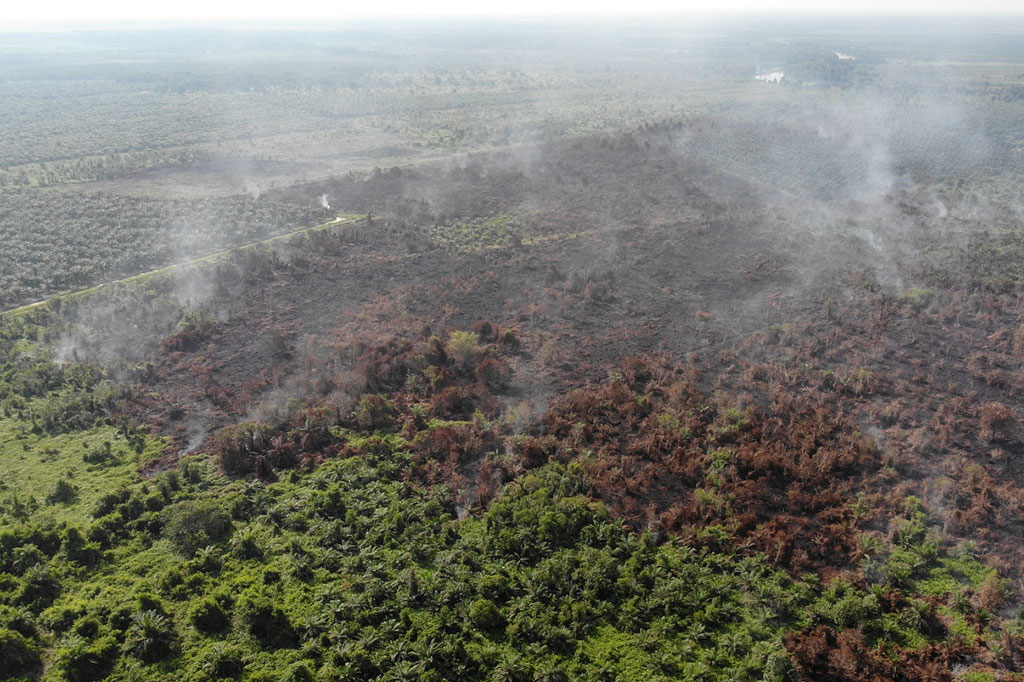 Forecaster on Duty Badan Meteorologi, Klimatologi, dan Geofisika (BMKG) Pekanbaru Putri Santy mengatakan sebanyak 713 titik panas di Sumatra tersebar pada sembilan provinsi. Selain Sumatra Selatan dengan jumlah terbanyak 291 titik, Lampung juga terpantau sebanyak 197 titik panas.