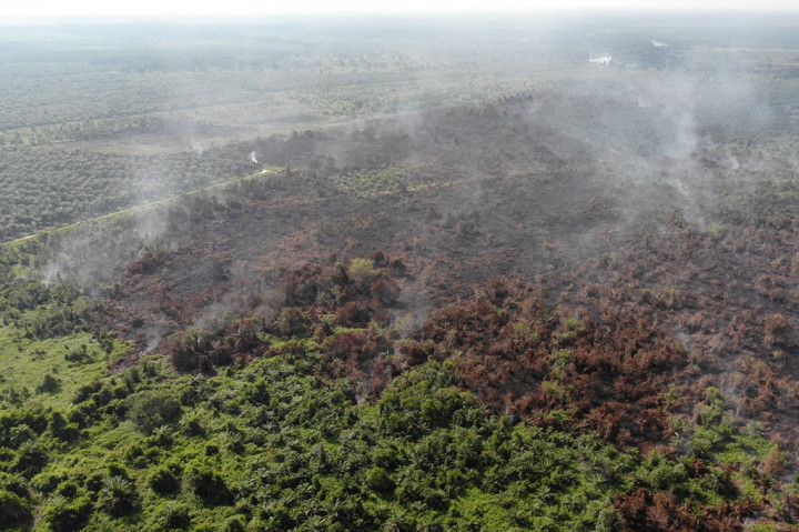 Forecaster on Duty Badan Meteorologi, Klimatologi, dan Geofisika (BMKG) Pekanbaru Putri Santy mengatakan sebanyak 713 titik panas di Sumatra tersebar pada sembilan provinsi. Selain Sumatra Selatan dengan jumlah terbanyak 291 titik, Lampung juga terpantau sebanyak 197 titik panas.