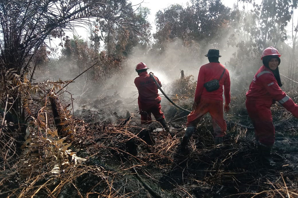 Kemudian Bangka Belitung sebanyak 105 titik, Jambi 69 titik, Bengkulu 45 titik, Sumatra Utara dan Kepulauan Riau masing-masing sebanyak dua titik, Sumatra Barat dan Riau masing-masing sebanyak satu titik panas. 