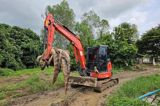 Sebuah peternakan buaya di Thailand telah memusnahkan 125 reptil karena khawatir mereka bisa kabur selama banjir yang sedang berlangsung dan membahayakan nyawa manusia.