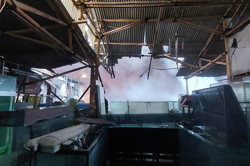 Peristiwa kebakaran ini ditayangkan langsung oleh salah seorang warganet di akun TikTok pribadinya @99part. Tampak dalam tayangan video yang ia siarkan pukul 18.20 WIB, api masih menyala. Satriadi membenarkan si jago merah masih melahap material di lokasi.