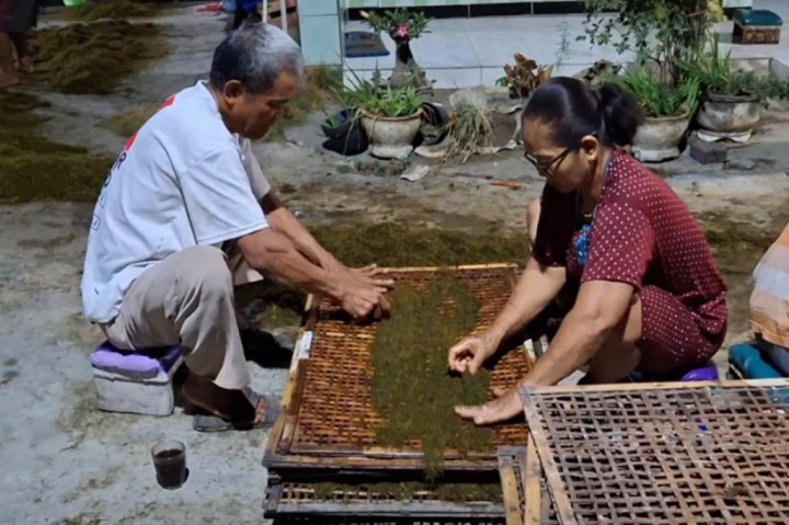 Bagi para petani tembakau di Desa Gempolan, Kecamatan Pakel, Tulungagung, Jawa Timur, pada musim panen tahun 2024 ini mengolah hasil panen sendiri dinilai lebih menguntungkan dibanding menjual daun tembakau basah. Salah satu produk pengolahan tembakau yang banyak diminati adalah tembakau pilesan.
